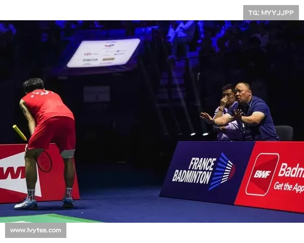 陈柏阳刘毅顶住压力逆袭前进梁王组合遭遇失利无缘世锦赛8强 陈柏阳刘毅顶住压力逆袭前进梁王组合遭遇失利无缘世锦赛8强