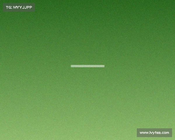 荷兰足球基金会助力退役球员成功转型与再就业探索