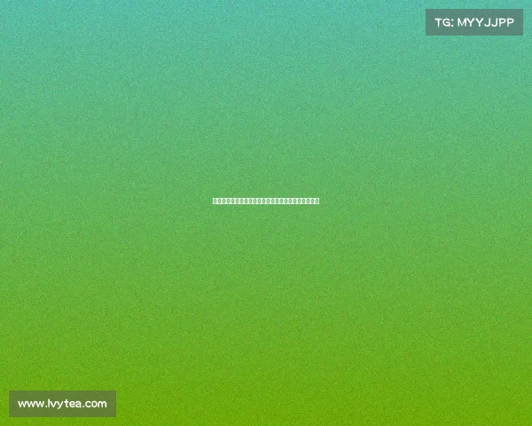 德甲足球：激情与传统交织的赛场氛围与球迷文化探索