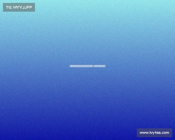 费内巴切正式签约前狼队后卫塞梅多 双方达成两年合约