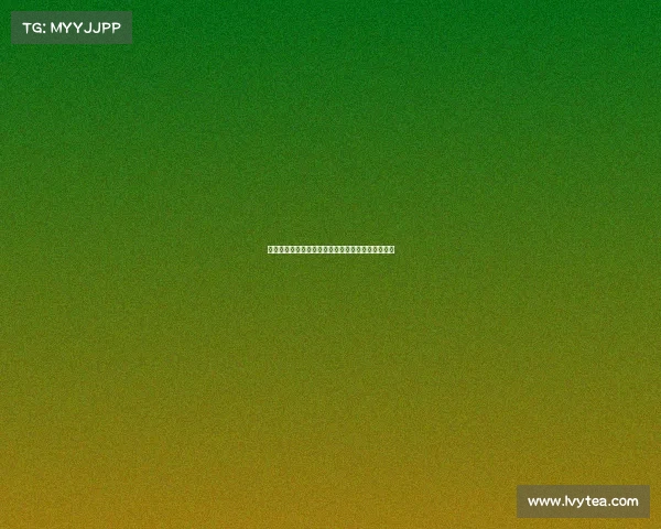 巴萨任命前阿维河总监若昂阿马拉尔为新任球探主管